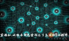 专家独家揭秘：比特币钱