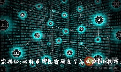 专家独家揭秘：比特币钱包密码忘了怎么办？小技巧大秘诀！