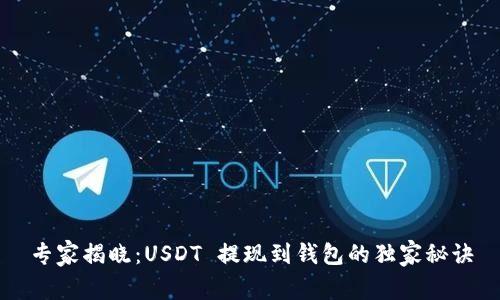 专家揭晓：USDT 提现到钱包的独家秘诀