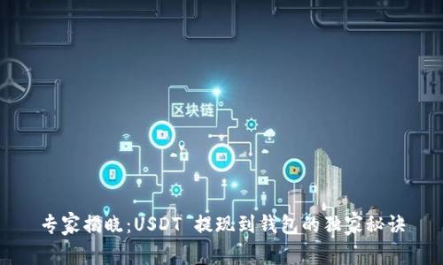 专家揭晓：USDT 提现到钱包的独家秘诀