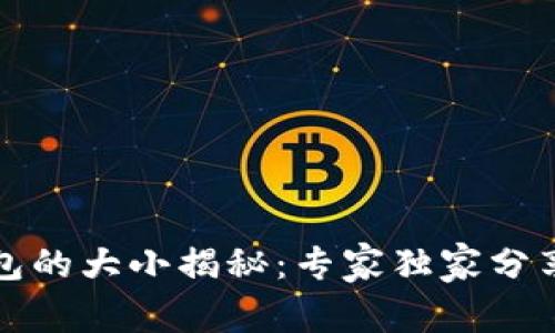 比特币钱包的大小揭秘：专家独家分享存储秘诀