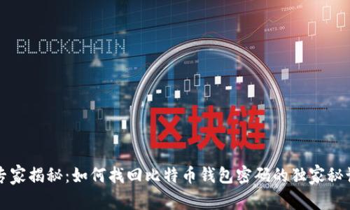 专家揭秘：如何找回比特币钱包密码的独家秘诀