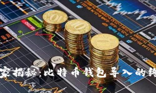 专家独家揭秘：比特币钱包导入的终极秘诀