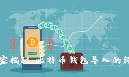 专家独家揭秘：比特币钱包导入的终极秘诀