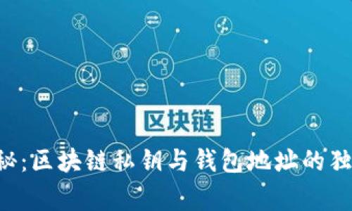 专家揭秘：区块链私钥与钱包地址的独家秘诀！