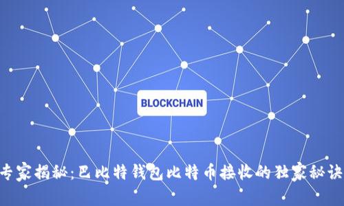 专家揭秘：巴比特钱包比特币接收的独家秘诀!