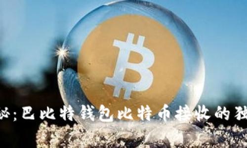 专家揭秘：巴比特钱包比特币接收的独家秘诀!