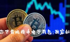 专家教你下载比特币电子
