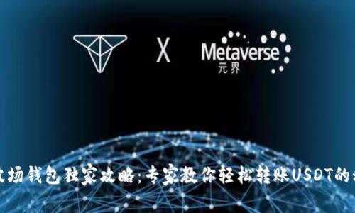 TP波场钱包独家攻略：专家教你轻松转账USDT的秘诀