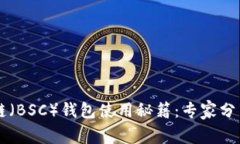 币安智能链（BSC）钱包使