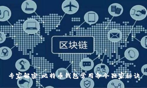 专家解密：比特币钱包常用命令独家秘诀