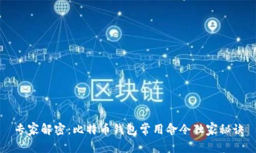 专家解密：比特币钱包常用命令独家秘诀