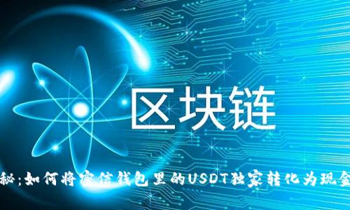 专家揭秘：如何将密信钱包里的USDT独家转化为现金的秘诀