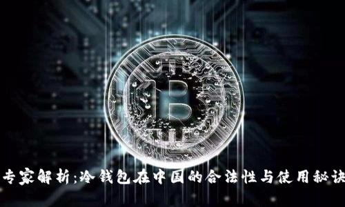 专家解析：冷钱包在中国的合法性与使用秘诀