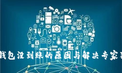 USDT转钱包没到账的原因与解决专家独家揭秘