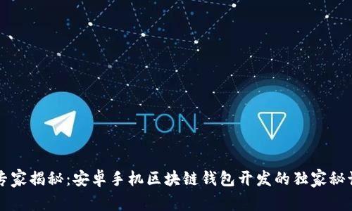 专家揭秘：安卓手机区块链钱包开发的独家秘诀