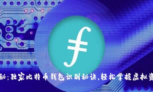 专家揭秘：独家比特币钱包识别秘诀，轻松掌握虚拟资产安全