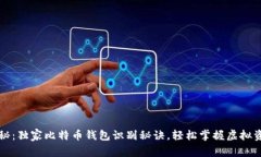 专家揭秘：独家比特币钱