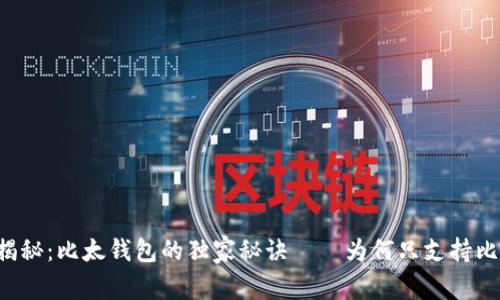专家揭秘：比太钱包的独家秘诀——为何只支持比特币？