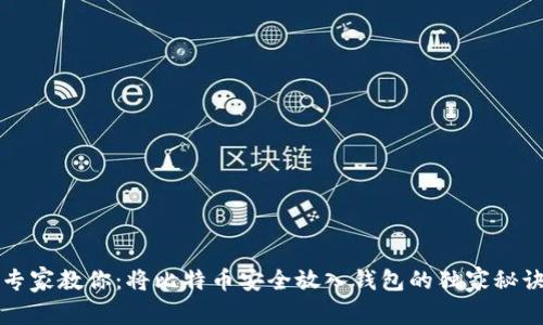 专家教你：将比特币安全放入钱包的独家秘诀