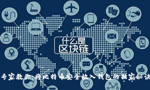 专家教你：将比特币安全放入钱包的独家秘诀