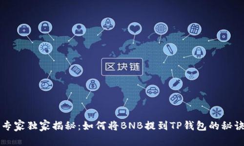 专家独家揭秘：如何将BNB提到TP钱包的秘诀
