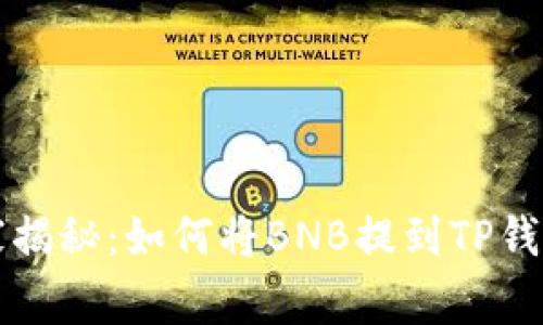 专家独家揭秘：如何将BNB提到TP钱包的秘诀