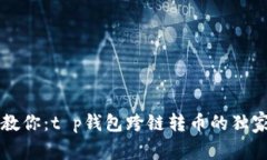 专家教你：t p钱包跨链转