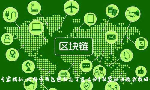 专家揭秘：比特币钱包密钥忘了怎么办？独家秘诀教你找回！
