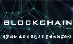 专家揭秘：比特币钱包占