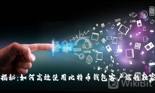 专家揭秘：如何高效使用比特币钱包客户端的独家秘诀