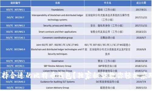 专家揭秘：如何选择合适的比特币钱包？独家秘诀教你轻松应对中文版本的问题