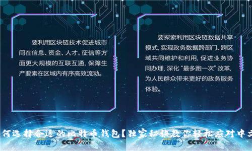 专家揭秘：如何选择合适的比特币钱包？独家秘诀教你轻松应对中文版本的问题