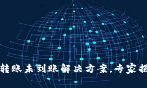 TP钱包跨链转账未到账解决方案，专家揭秘独家秘诀