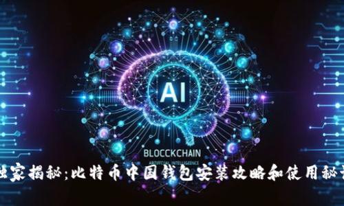 独家揭秘：比特币中国钱包安装攻略和使用秘诀