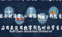 在使用t p钱包时，余额显