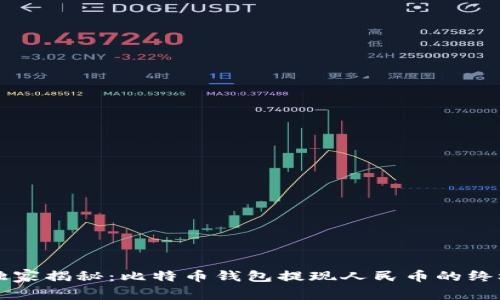 专家独家揭秘：比特币钱包提现人民币的终极秘诀