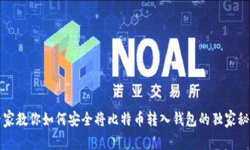专家教你如何安全将比特币转入钱包的独家秘诀