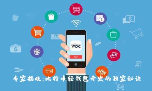 专家揭晓：比特币轻钱包开发的独家秘诀