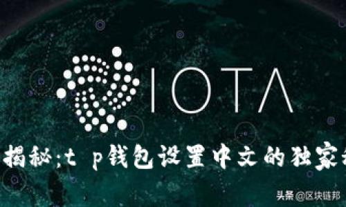 专家揭秘：t p钱包设置中文的独家秘诀！