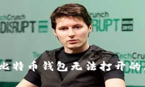 专家独家揭秘：比特币钱包无法打开的原因及解决秘诀