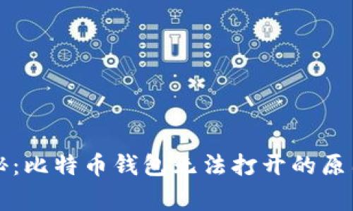 专家独家揭秘：比特币钱包无法打开的原因及解决秘诀