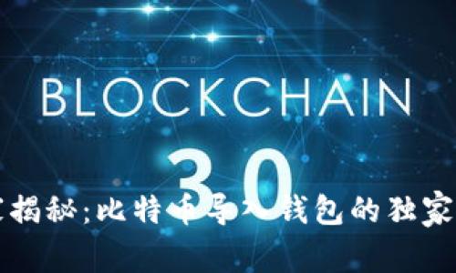 专家揭秘：比特币导入钱包的独家秘诀