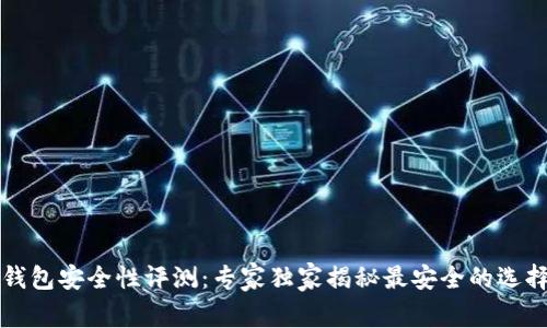 比特币钱包安全性评测：专家独家揭秘最安全的选择与秘诀