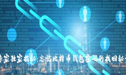专家独家揭秘：忘记比特币钱包密码的找回秘诀