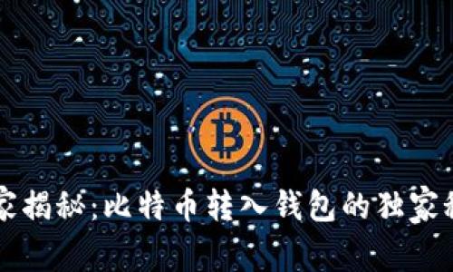 专家揭秘：比特币转入钱包的独家秘诀