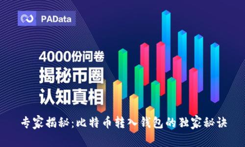 专家揭秘：比特币转入钱包的独家秘诀