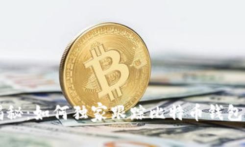 专家揭秘：如何独家跟踪比特币钱包的秘诀