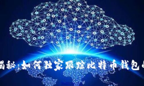 专家揭秘：如何独家跟踪比特币钱包的秘诀