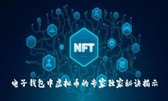 电子钱包中虚拟币的专家